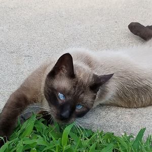 Meet your Posher, Desiree